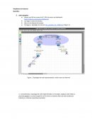 Analise de Topologia de Rede com Programa Corenetwork