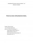 A Psicologia Organizacional