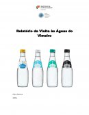 Relatório da Visita às Águas do Vimeiro