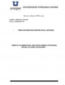 Direito À Alimentação Reflexão Sobre A Proteção Social E O Papel Do Estado