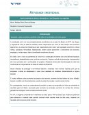 Atividade Individual Economia Empresarial