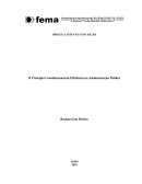 O Princípio Constitucional da Eficiência na Administração Pública