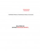 Relato Da Análise De Materiais Didáticos Da Escola