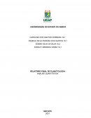 O Relatório Final De Planctologia Analise Quantitativa