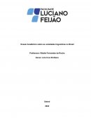 Ensaio Academico Sobre as Variedades Linguisticas Do Brasil