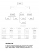 Organogramas Matricial e Funcional (modelo)