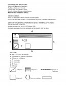 A Técnica de Observação