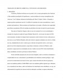 Trabalho De Direito Ambiental. Estudo Do Caso Braskem