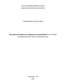 A Evolução Do Estatuto Da Criança E Do Adolescente: A Fetividade Das Medidas Protetivas E Socioeducativas