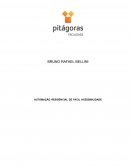 Projeto Apresentado ao Curso de Engenharia de Controle Automação da Instituição Faculdade Pitágoras.