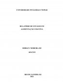 Relatório de Estágio Supervisionado Em Alimentação