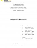 Trabalho de Histopatologia e Citopatologia