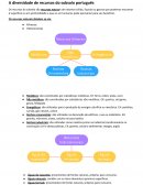 A Diversidade De Recursos Do Subsolo Português