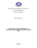 Relatório De Estágio Supervisionado Fisioterapia Ambulatorial Em Ortopedia E Trauma (100h)