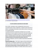 A Incrível Cadeia De Suprimentos De Moda Rápida