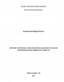 O Estresse Ocupacional E Seus Reflexos Na Qualidade De Vida Dos Profissionais Em Seu Ambiente De Trabalho