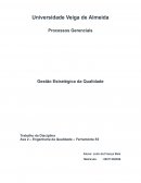 Os Processos Gerenciais Gestão Estratégica da Qualidade