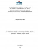 Paper Relação de Trabalho de Interdisciplinidade