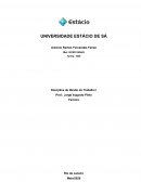 Resenha Critica do Dir do Trabalho