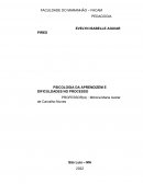 A Psicologia Da Aprendizagem E Dificuldades No Processo