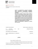 Agravo De Instrumento. Alienação Fiduciária. Ação Revisional. Gratuidade Judiciária. Comprovação Da Alegada Necessidade. Benefício Concedido.