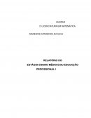 Relato Da Análise Do Plano De Trabalho Docente