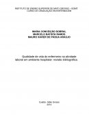 Qualidade De Vida Do Enfermeiro No Trabalho Em Ambiente Hospitalar