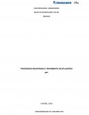 Trabalho Acadêmico da Disciplina de Processos Industriais e Tratamento de Efluentes