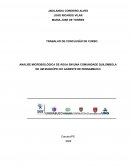 Análise Microbiológica De Água Em Uma Comunidade Quilombola De Um Município Do Agreste De Pernambuco