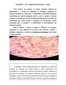 A Atividade Hematologia Clínica