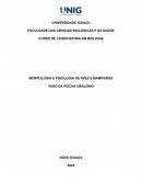 A Morfologia E Fisiologia Das Aves E Mamíferos