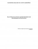 Relatório de Estagio Supervisionado em Programas Estratégicos