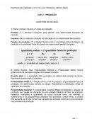 Exercícios Resolvidos Capítulos V e VI - Livro Economia - Micro e Macro