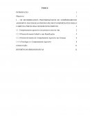 Os Determinantes Psicossomáticos Do Comportamento Agressivo Em Crianças Órfãos