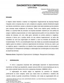 Relatório O Diagnostico Empresarial