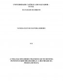 A Vida Das Mulheres Transexuais No Sistema Penitenciário Brasileiro, E A Dignidade Da Pessoa Humana