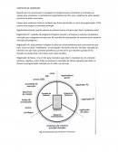 Sistemas Operacionais Contexto de Hardware