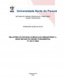 Relatório Do Estágio Curricular Obrigatório Ii – Anos Iniciais Do Ensino Fundamental