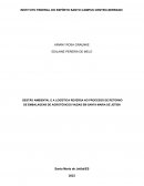 A Gestão Ambiental E A Logística Reversa No Processo De Retorno De Embalagens De Agrotóxicos Vazias Em Santa Maria De Jetibá