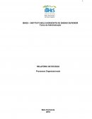 Relatório de Estágio em Administração - Processos Organizacionais