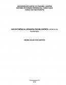 A Incontinência Urinária Em Mulheres: Eficácia Da Fisioterapia