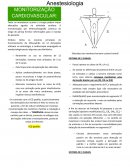 A Monitorização Cardiovascular