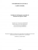 A Assistência De Enfermagem Ao Portador De Transtorno Do Espectro Autista