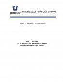 O Projeto Político Pedagógico (PPP)