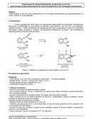 A Espectrofotometria de Absorção Molecular