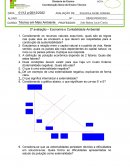 A Economia e Contabilidade Ambiental