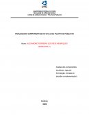 A Análise Dos Componentes Do Ciclo De Políticas Públicas