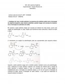 Relatório Química Orgânica Experimental 2° Estudo Remoto de Laboratório
