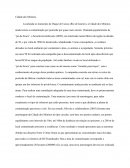 A Cidade dos Meninos - Áreas Contamindas (UTFPR)