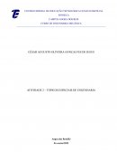 O Estudo Do Comportamento De Trinca Em Um Polímero Via Elementos Finitos